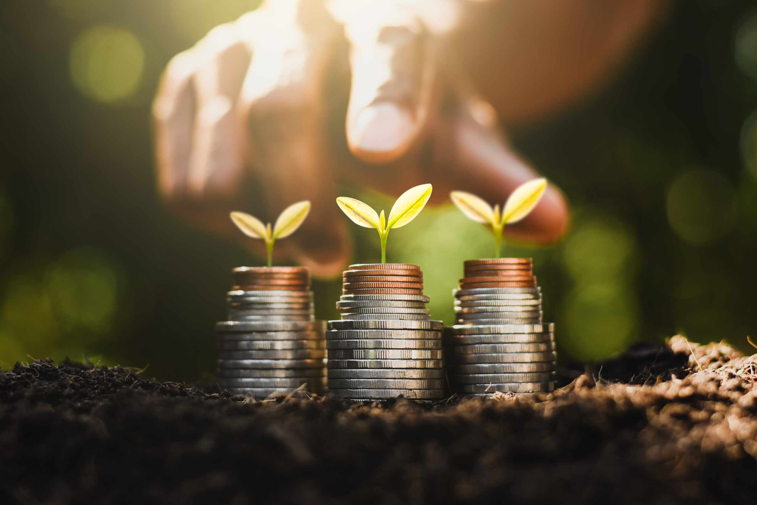 blog 35 seedlings are growing coins placed ground thinking about financial growth scaled